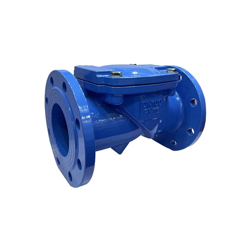 Rubber-flap Check Valve factory